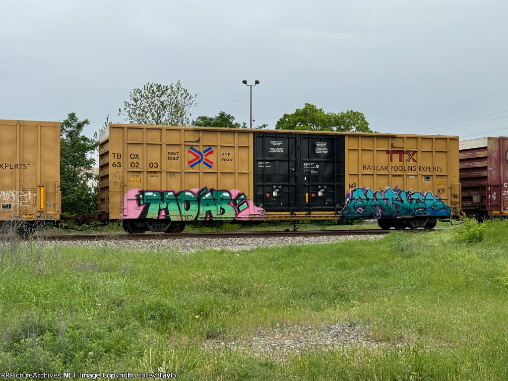 TBOX 630203